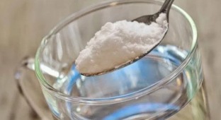 Salt against powdery mildew