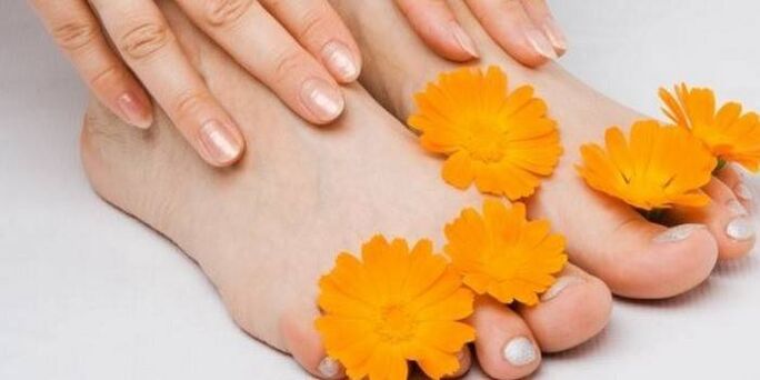 manicured toenails