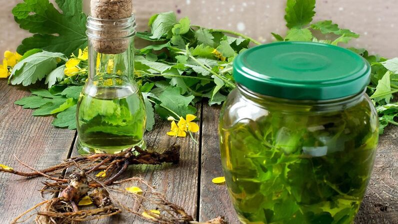 Celandine - a folk remedy used to treat fungal infections on the legs