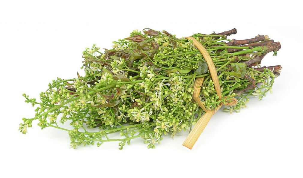 Medicinal herbs to eliminate onychomycosis